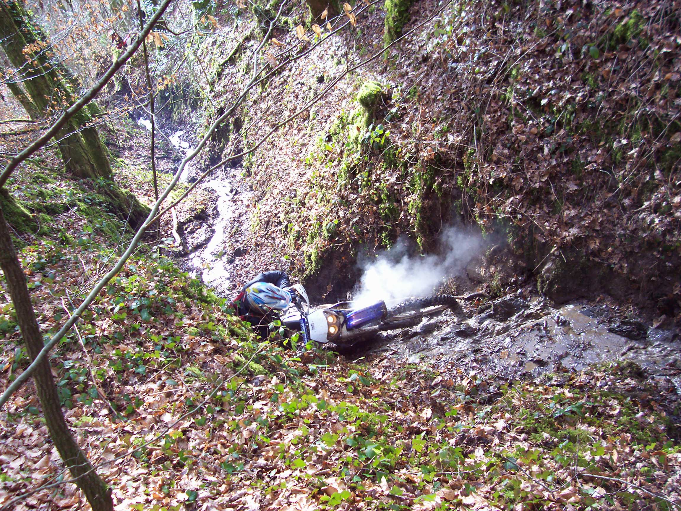MALAGNOUX 2010